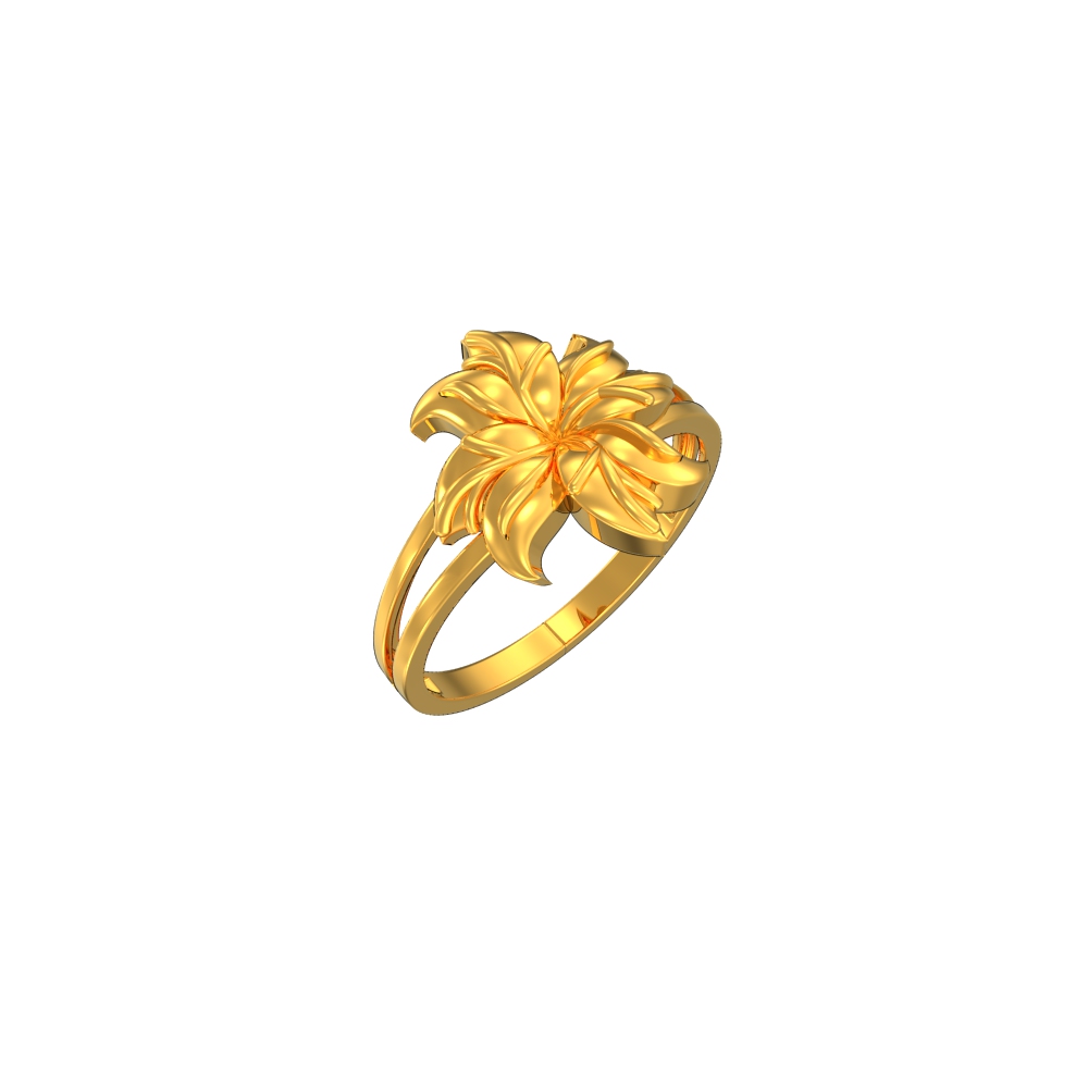 22k Gold Natural Design Ring